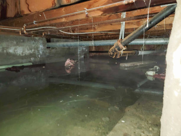 Best Water damage contractors near me  in Woodland Heights, PA