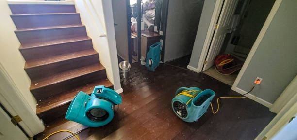 Best Fire Damage Restoration  in Woodland Heights, PA