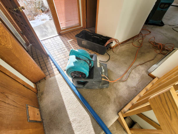 Best Fire Damage Restoration  in Woodland Heights, PA