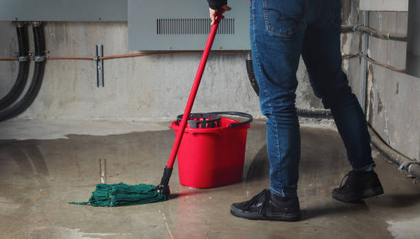Best Water damage cleanup near me  in Woodland Heights, PA