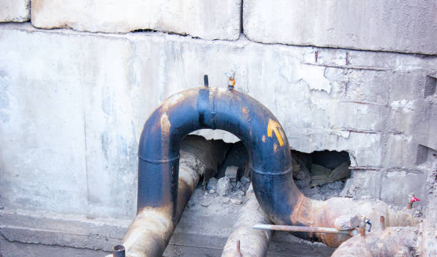 Best Water damage mitigation services  in Woodland Heights, PA
